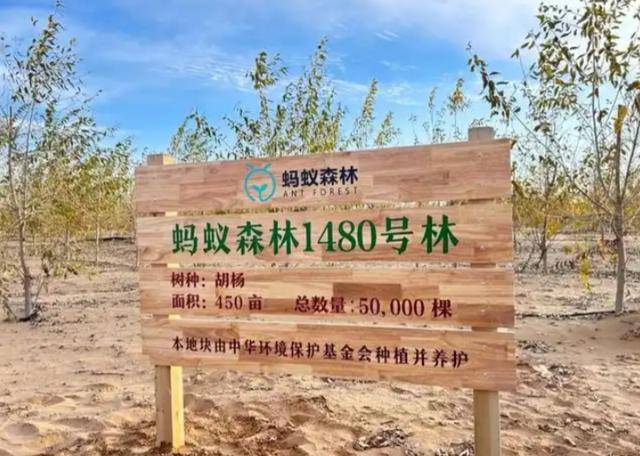 20多年前曾被预言即将消失的中国城市,如今怎样 20多年前曾被预言即将消失的中国城市,如今怎样