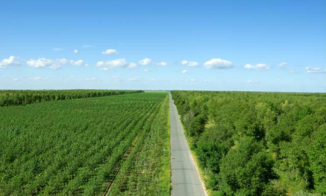 20多年前曾被预言即将消失的中国城市,如今怎样 20多年前曾被预言即将消失的中国城市,如今怎样