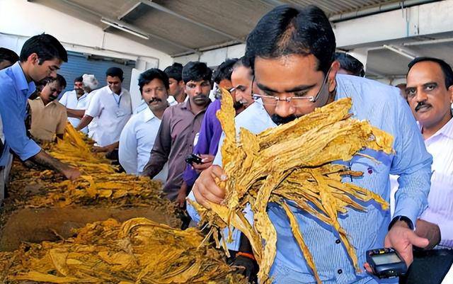 卷烟销量:美1780亿支,印940亿支,中国多少 卷烟销量:美1780亿支,印940亿支,中国多少