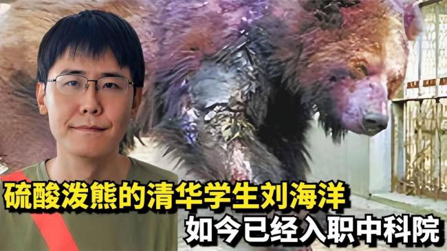 当年用浓硫酸泼熊的清华才子,如今怎样了 当年用浓硫酸泼熊的清华才子,如今怎样了