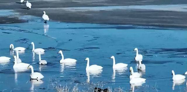 中国荒漠中挖出亚洲最大水库 成瀚海明珠 中国荒漠中挖出亚洲最大水库 成瀚海明珠