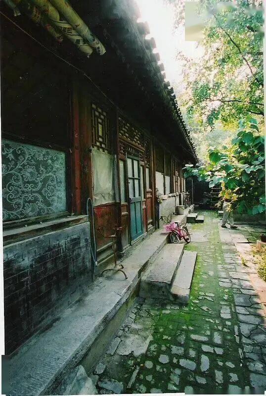 她控诉陈丽华多年,这位蓝眼睛北京人更该被铭记 她控诉陈丽华多年,这位蓝眼睛北京人更该被铭记