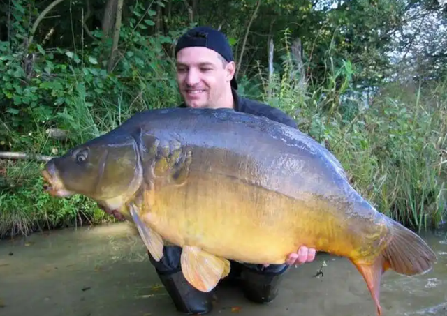 美国,对鲤鱼宣战 美国,对鲤鱼宣战