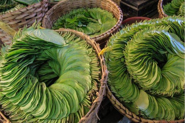 这水果是毒品!中国却有6000万人上瘾 这水果是毒品!中国却有6000万人上瘾