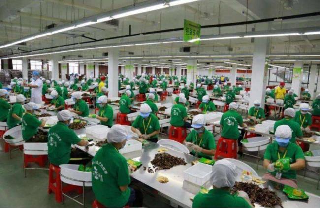 这水果是毒品!中国却有6000万人上瘾 这水果是毒品!中国却有6000万人上瘾