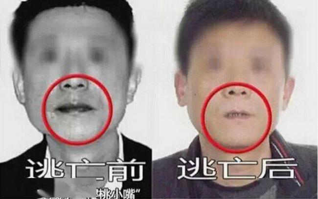 这水果是毒品!中国却有6000万人上瘾 这水果是毒品!中国却有6000万人上瘾