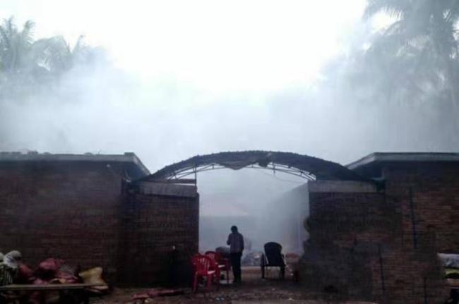 这水果是毒品!中国却有6000万人上瘾 这水果是毒品!中国却有6000万人上瘾