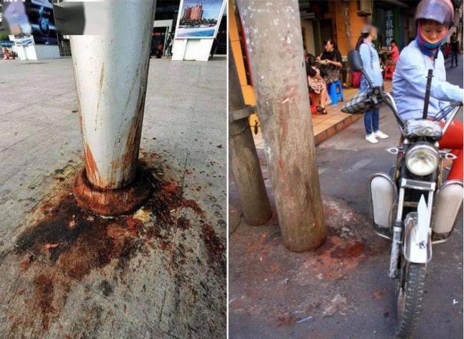 这水果是毒品!中国却有6000万人上瘾 这水果是毒品!中国却有6000万人上瘾