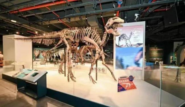 头部城市房租断崖式下跌 下一个造富风口来了 头部城市房租断崖式下跌 下一个造富风口来了