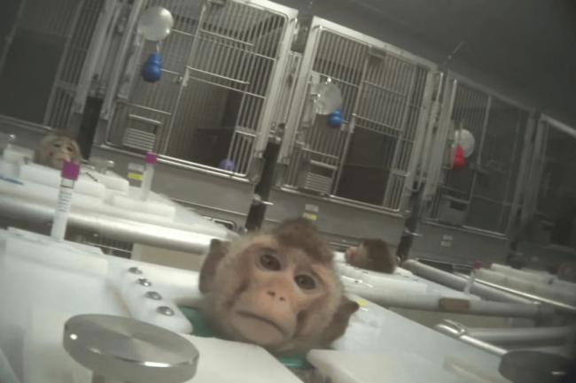 最恐怖的长生项目,正让全球富豪疯砸几十亿 最恐怖的长生项目,正让全球富豪疯砸几十亿