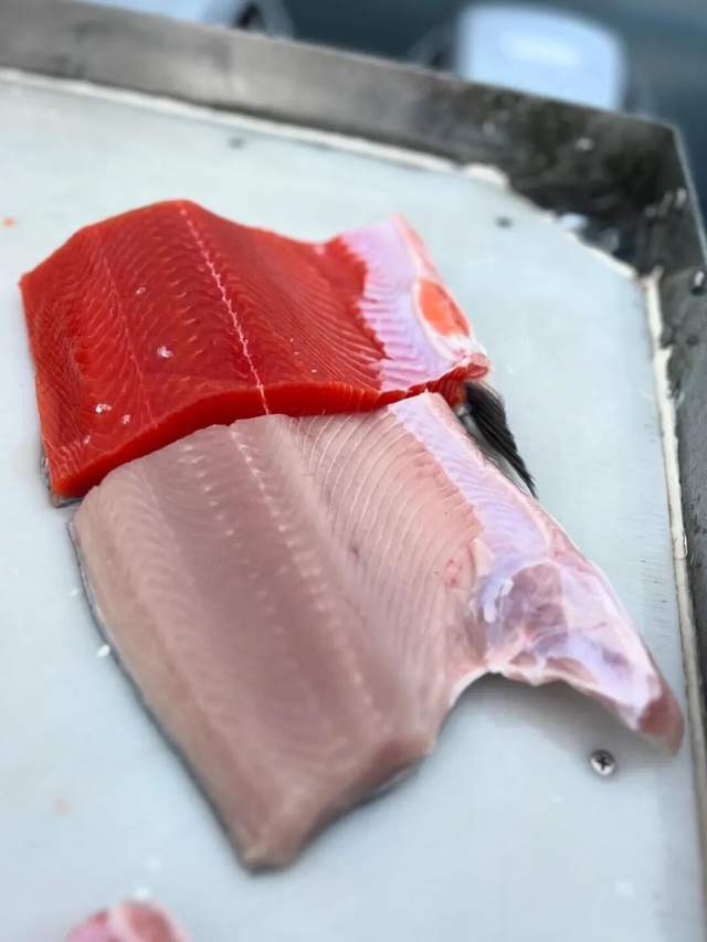 一年81亿的三文鱼垄断,快不行了 一年81亿的三文鱼垄断,快不行了