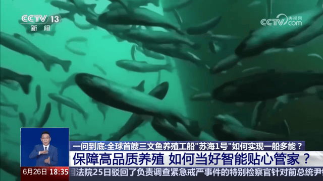 一年81亿的三文鱼垄断,快不行了 一年81亿的三文鱼垄断,快不行了