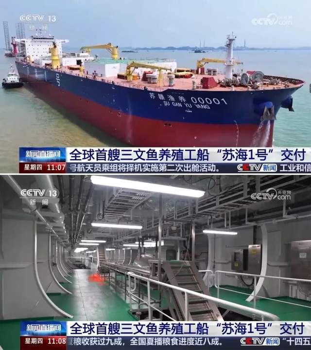 一年81亿的三文鱼垄断,快不行了 一年81亿的三文鱼垄断,快不行了