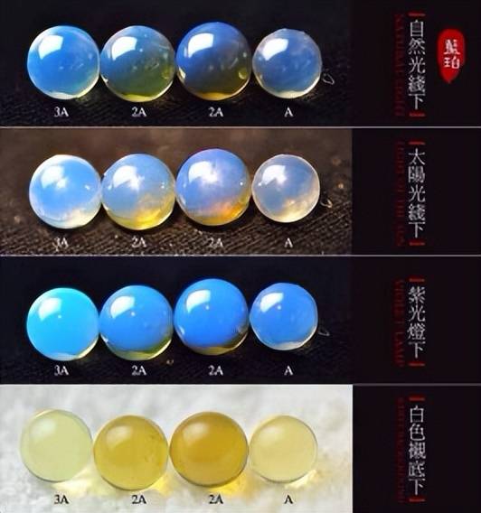 4100万年后,它们的私密事还被人类围观 4100万年后,它们的私密事还被人类围观