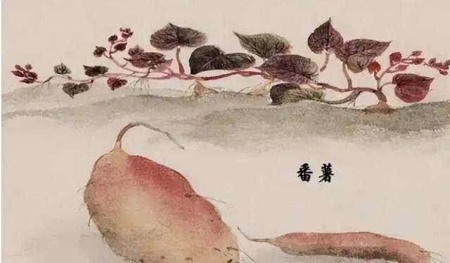 古代穷人每天吃什么 你可能一天都撑不下去 古代穷人每天吃什么 你可能一天都撑不下去