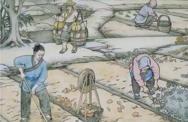 古代穷人每天吃什么 你可能一天都撑不下去 古代穷人每天吃什么 你可能一天都撑不下去