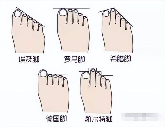 10种罕见的人体特征,拥有一个或是“天选之人” 10种罕见的人体特征,拥有一个或是“天选之人”