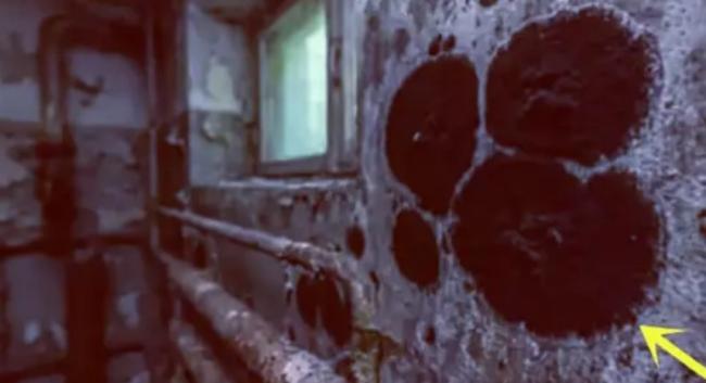 这里惊现变异生物 竟然能吃核辐射 这里惊现变异生物 竟然能吃核辐射