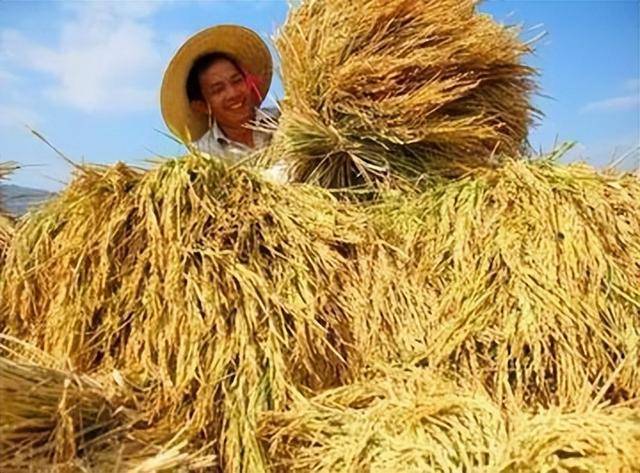 中国最不好惹的一个省 半个中国都要依赖它 中国最不好惹的一个省 半个中国都要依赖它