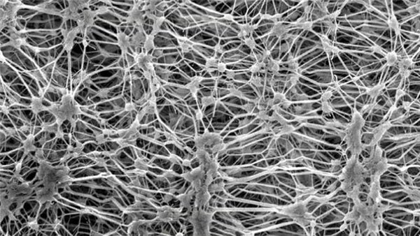 你身上的冲锋衣,可能正在毒害全人类 你身上的冲锋衣,可能正在毒害全人类