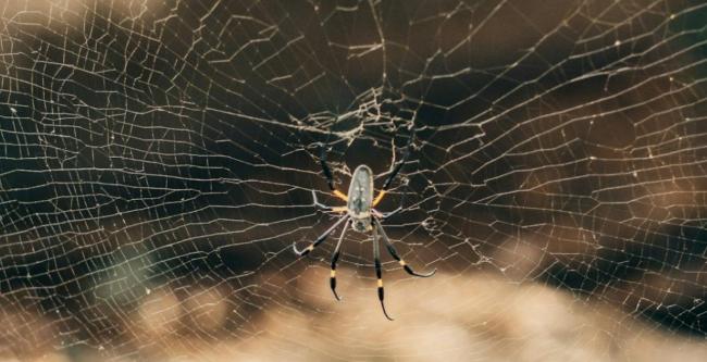 女子穿上内裤突感到诡异蠕动 许多网友共鸣 女子穿上内裤突感到诡异蠕动 许多网友共鸣
