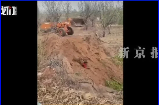 山西原村支书用铲车活埋村民 引全网震怒 山西原村支书用铲车活埋村民 引全网震怒