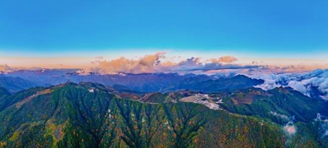 1980年,国家花高价收购一名普通学生的画作 1980年,国家花高价收购一名普通学生的画作