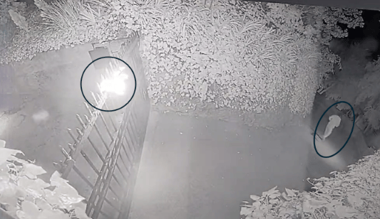 担忧暗杀!老黄带5个保镖,奥特曼们沦为靶子 担忧暗杀!老黄带5个保镖,奥特曼们沦为靶子