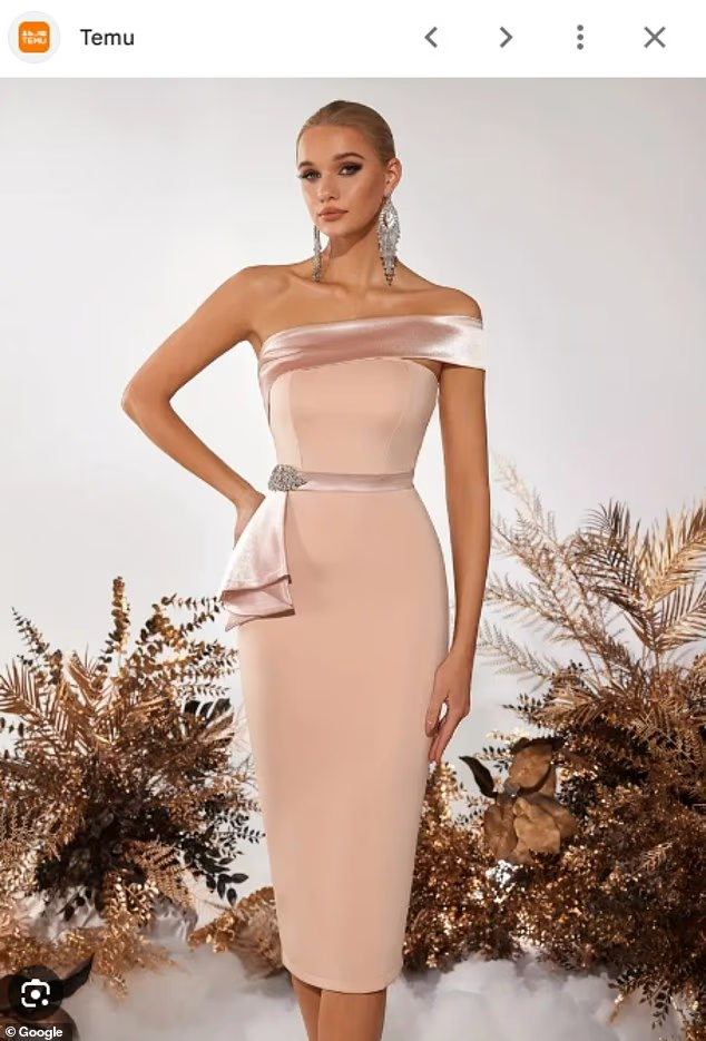 美防长夫人被指穿廉价中国电商裙赴宴 引热议 美防长夫人被指穿廉价中国电商裙赴宴 引热议