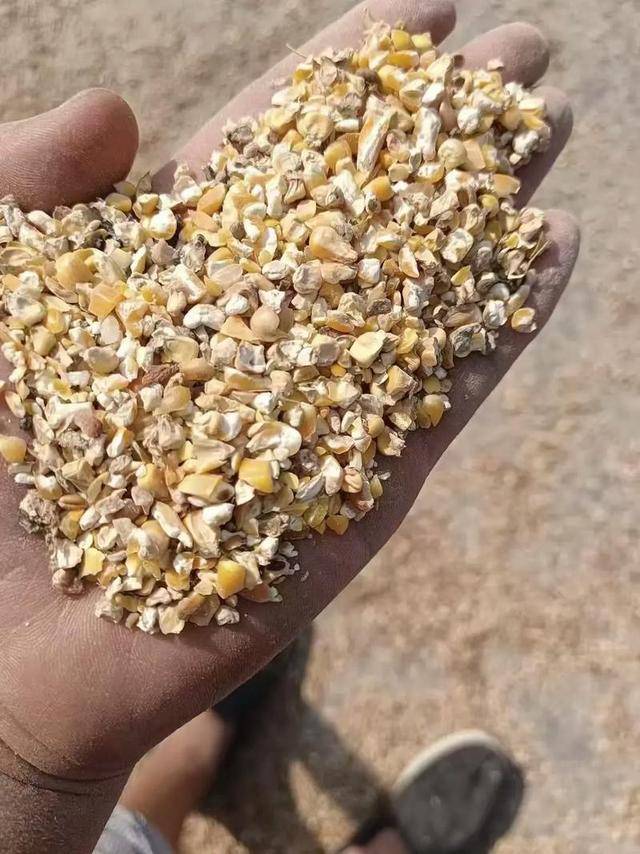 算完这笔账,俄罗斯的手不停哆嗦 算完这笔账,俄罗斯的手不停哆嗦