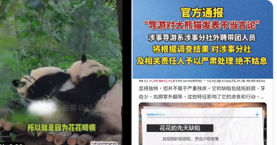 国人这是疯了吗? 国人这是疯了吗?