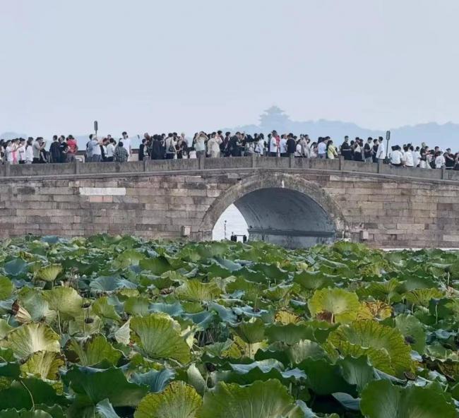 5A景区,终于吃到了点苦头 5A景区,终于吃到了点苦头