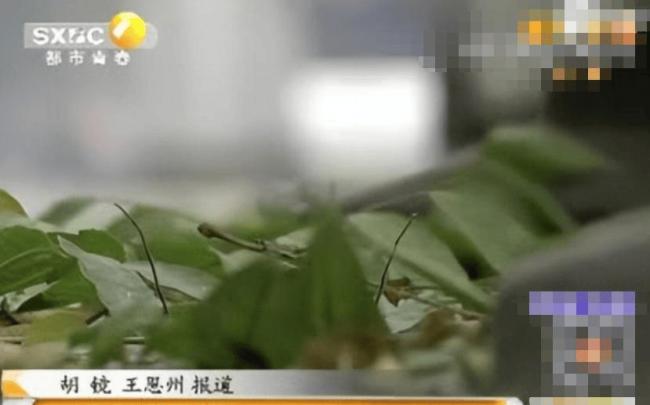 2014年一家四口在华山跳崖,留下2个月大的女儿 2014年一家四口在华山跳崖,留下2个月大的女儿