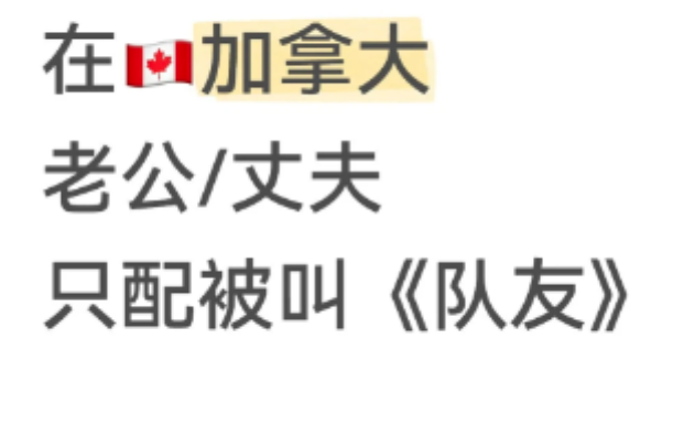 中国博主:“我一直很害怕海外华人这个群体” 中国博主:“我一直很害怕海外华人这个群体”