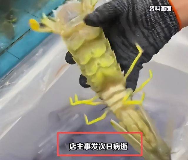 三亚海鲜宰客大反转 被网暴老板隔天去世 仅43岁 三亚海鲜宰客大反转 被网暴老板隔天去世 仅43岁