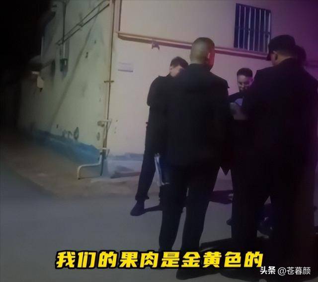女子白嫖榴莲后续:村支书曝是惯犯,已被立案 女子白嫖榴莲后续:村支书曝是惯犯,已被立案
