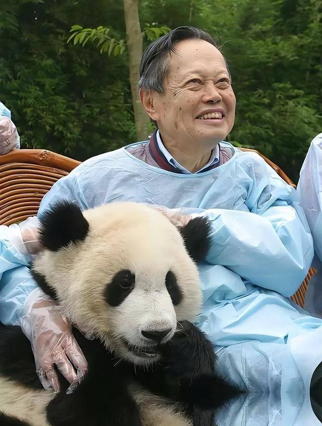 丈夫去世7个月,翁帆现状被曝光 丈夫去世7个月,翁帆现状被曝光