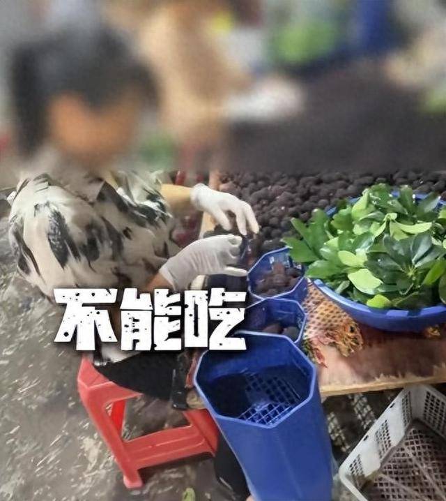 泡8000倍甜味剂!这水果塌房, 工人:我不敢吃 泡8000倍甜味剂!这水果塌房, 工人:我不敢吃