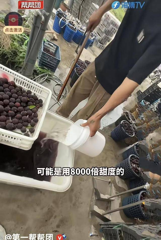 泡8000倍甜味剂!这水果塌房, 工人:我不敢吃 泡8000倍甜味剂!这水果塌房, 工人:我不敢吃