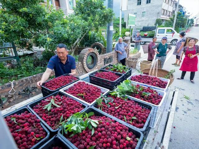 泡8000倍甜味剂!这水果塌房, 工人:我不敢吃 泡8000倍甜味剂!这水果塌房, 工人:我不敢吃