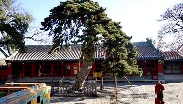 憋屈的国宝:七千斤名玉打造,却装了300年咸菜 憋屈的国宝:七千斤名玉打造,却装了300年咸菜
