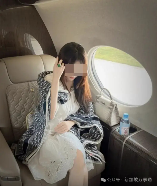 陈志背后的神秘女人:美籍华裔 选美上位 陈志背后的神秘女人:美籍华裔 选美上位