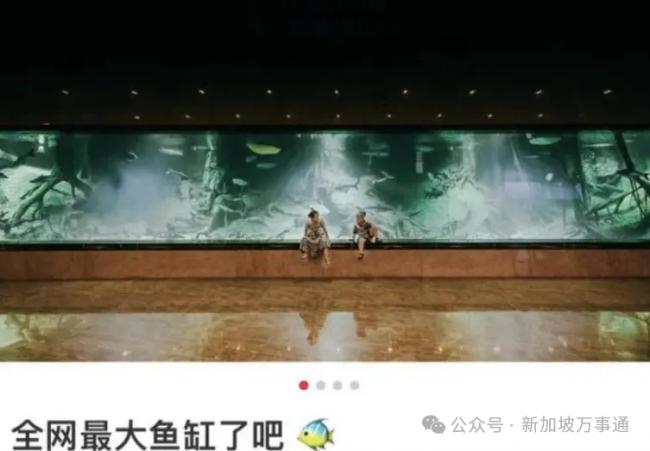 陈志背后的神秘女人:美籍华裔 选美上位 陈志背后的神秘女人:美籍华裔 选美上位