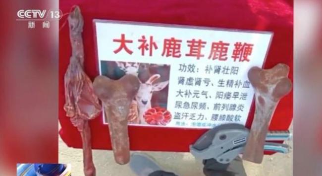 央视揭强卖鹿茸 价格从50变6000 大爷不买被踹翻 央视揭强卖鹿茸 价格从50变6000 大爷不买被踹翻