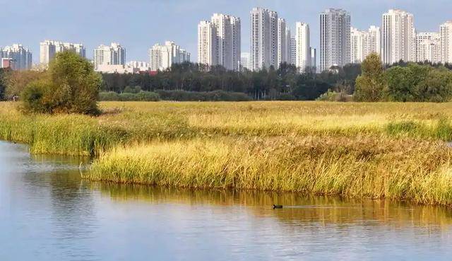 中国最大的省会城市,相当于8个上海 中国最大的省会城市,相当于8个上海