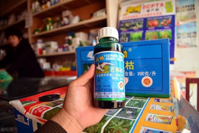 女儿喝百草枯丧命,百草枯发明者如今怎样了 女儿喝百草枯丧命,百草枯发明者如今怎样了