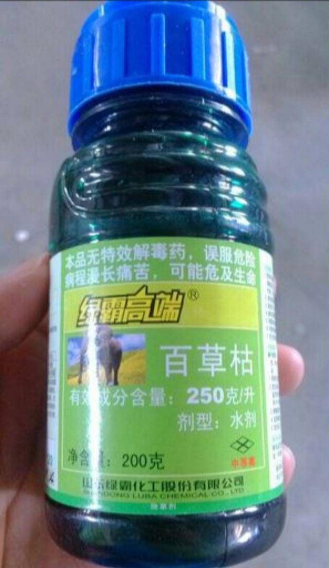 女儿喝百草枯丧命,百草枯发明者如今怎样了 女儿喝百草枯丧命,百草枯发明者如今怎样了