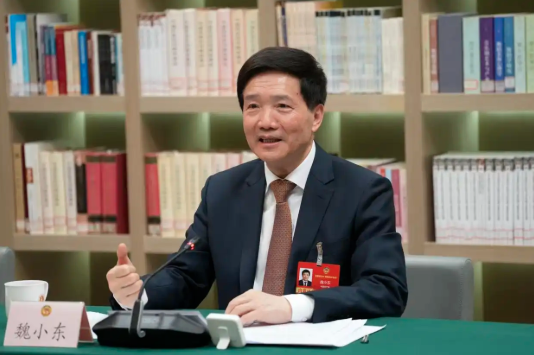 大批厅官落马 中共21大前权力洗牌? 大批厅官落马 中共21大前权力洗牌?