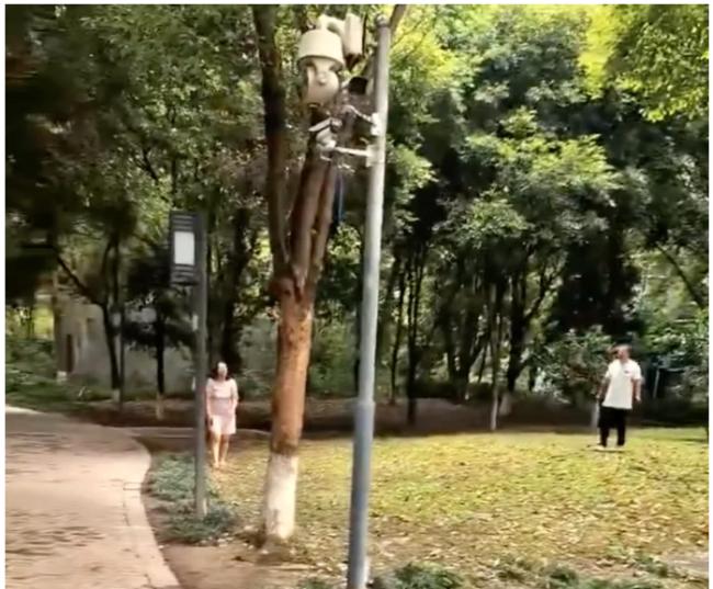 多地连爆惨剧,中国基层失控引关注 多地连爆惨剧,中国基层失控引关注