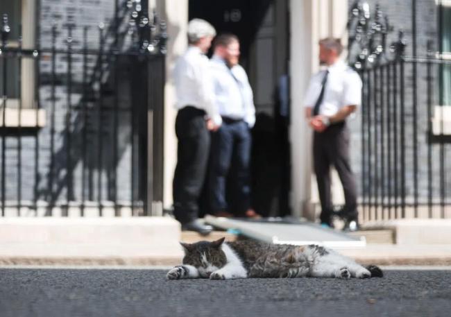 英首相换了又换:唐宁街最稳定“官员”现年19岁 英首相换了又换:唐宁街最稳定“官员”现年19岁